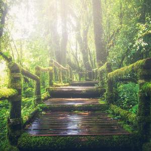 gay做羞羞的事免费在线观看视频
